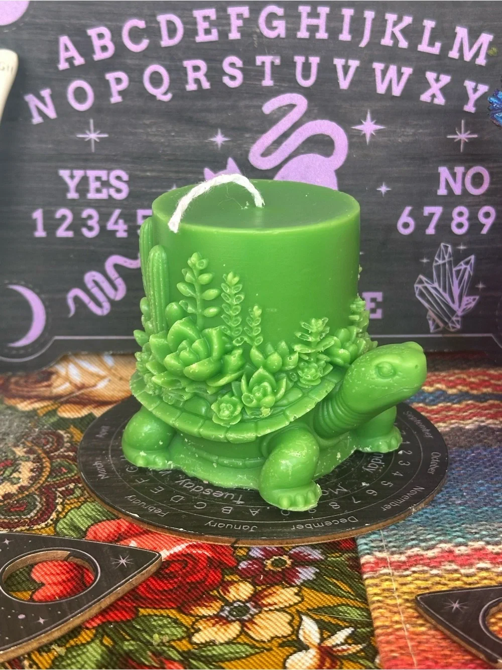 Succulent Turtle Candle